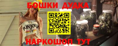гашик Бердск