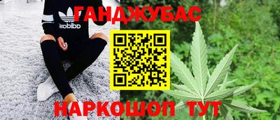 гашик Бердск