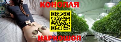 гашик Бердск