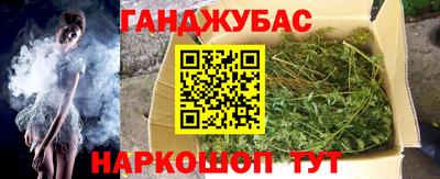 гашик Бердск