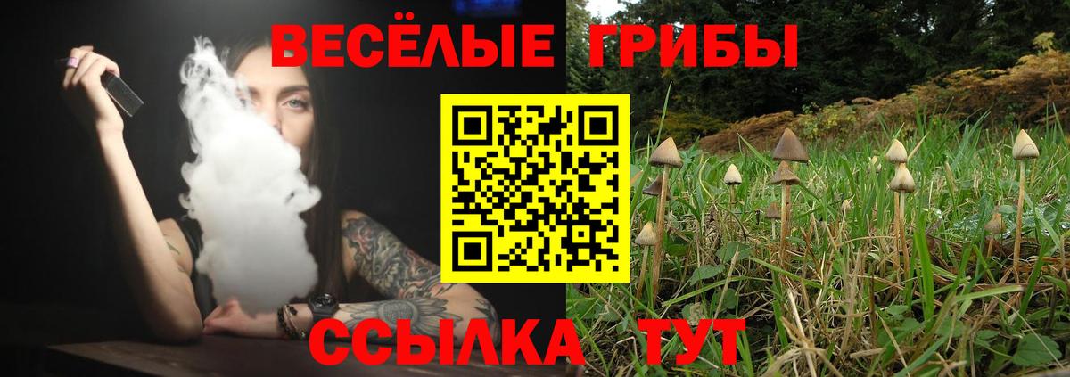 Галлюциногенные грибы GOLDEN TEACHER  Вход с VPN  Нижний Тагил  Псилоцибиновые грибы Psilocybe 